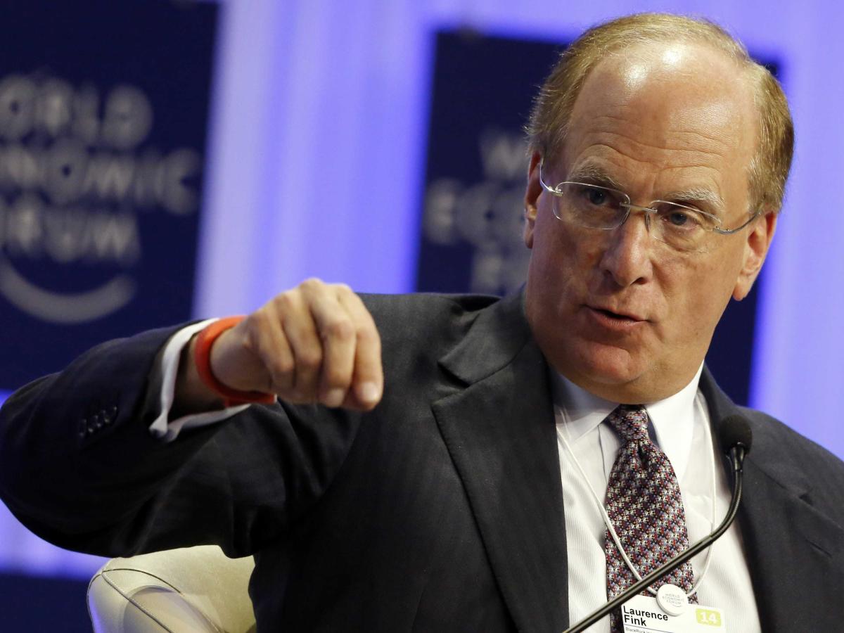long-term-investors-should-be-plowing-80%-of-their-portfolios-into-stocks-and-other-hard-assets,-blackrock-chief-larry-fink-says